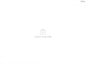 ▲新一代設計展▼不太好玩