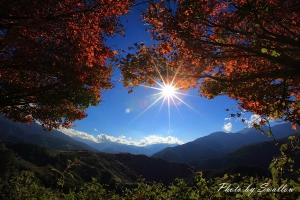 2009福壽山楓葉隨拍-阿生[第2頁照片已補齊]