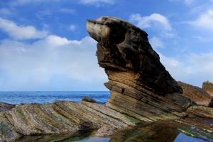 南雅奇岩-海狗石