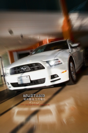 (chujy) Ford Mustang 稀有靈魂,生而傳奇