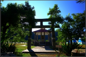 流浪第三點 莎韻之路