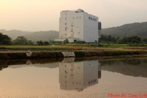 晨間簡單又安靜的力量 - 倒影
