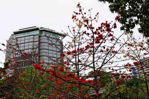 24-70mm 2.8L USM&nbsp;&nbsp;&nbsp;&nbsp;(1P)