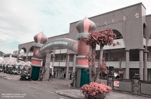 台東成功國小 - 鯨豚海洋嘉年華會