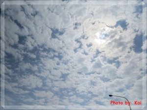 【SX50 HS】150214我在西子灣!這片海未免也太憂鬱