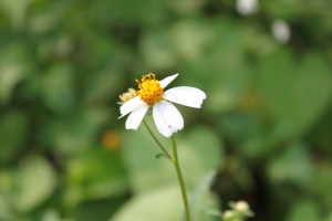 新手第一次試拍請前輩多多指導