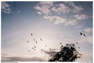 睡著‧在藍天下...