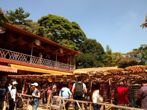 新埔柿餅(圖多+殘念....)