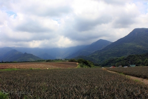 家鄉風景随拍～沿山公路風光