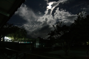 今夜~不死鳥降臨