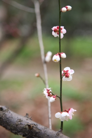 其實天氣真的很冷