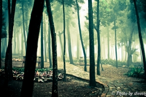 雨天心煩的新社莊園