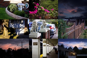 ::: Friday Wandering 金曜日は放浪 by DV :::