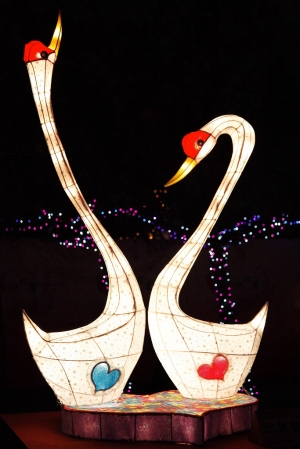 鹿港燈會2花果及競賽燈區(圖多) - 雜工