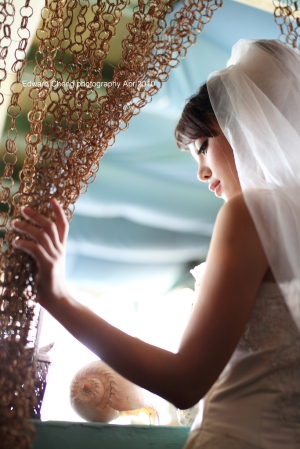 歡歡。老梅外拍