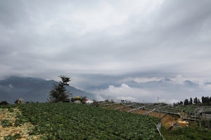 霧鎖合歡 烏雲相隨 09/24~09/25