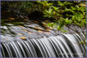 2012 杰克的隨拍 (33) 不是一張的一張流