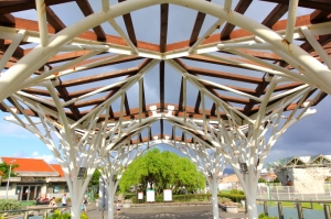 內湖運動公園16-35mm試拍