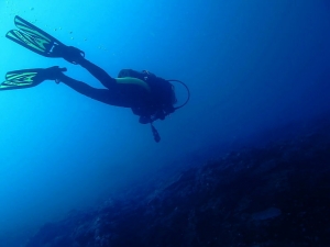 炎夏何處去~美麗藍洞