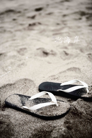 北海岸 +2張 比基尼0.0