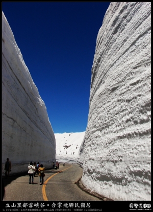 立山黑部【漫步雪壁峽谷‧野餐玩牌打雪仗】