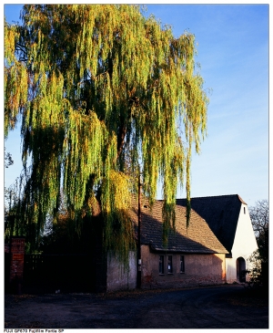 我在德國的日子-GF670版