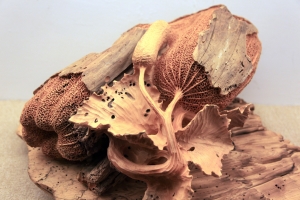 88風災漂流木雕