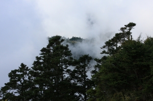 武陵四秀之&nbsp;&nbsp;桃山單攻