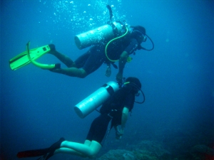 Mantanani Island 體驗潛水