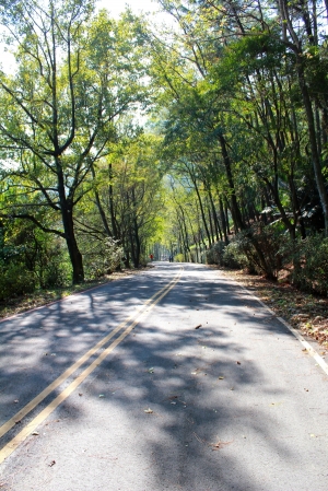 輕鬆玩＿女王 ．＃