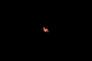 2009.09.06 國際太空站