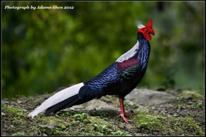 大雪山之旅@毒魔兔