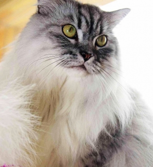 小賢豆豆媽~習拍(奇美醫院)