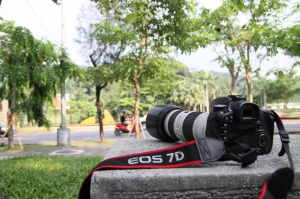 敗入 7D 後,首次的花園之旅...