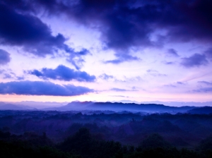 初訪二寮（ブラックカードの作品）