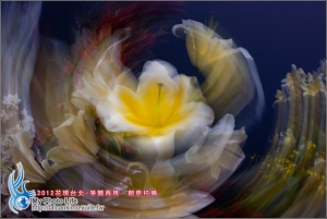 2012花現台北-爭豔再現‧創意拍攝