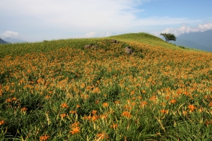 黃金六十石山
