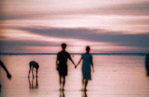 回首11年-高美溼地