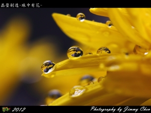 2012 Q1 回顧~~生態/微距像篇(完)~~BY 好攝客