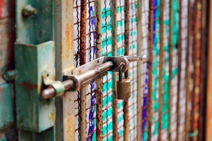 拍出照片的....."立體感" by 550D+Contax 60mm f2.8 macro