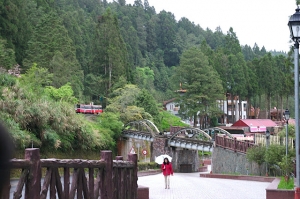 睡覺前來張阿里山新站吧