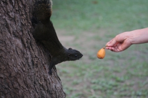哎呀！我的早餐。