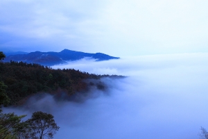 迷霧細雨阿里山