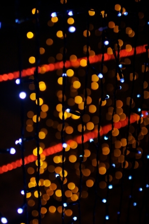 2008台北燈會起跑 ~~