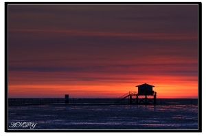 ※彰濱海上屋※