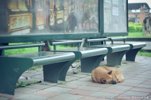 17度C的北大(台北大學)