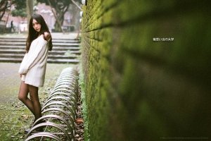 龍思い出の大学