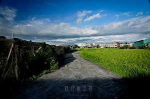 假日巡田園~爆力雲
