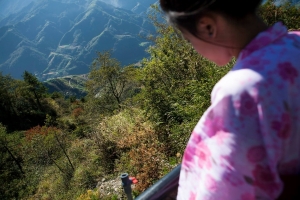 楓紅落 秋尾 迎梅開 冬臨