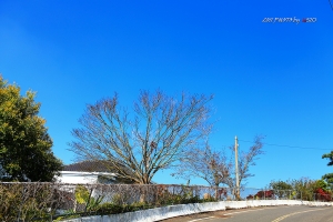 帶35L、85L遊南化山~(內有影響情緒的照片~請慎入)